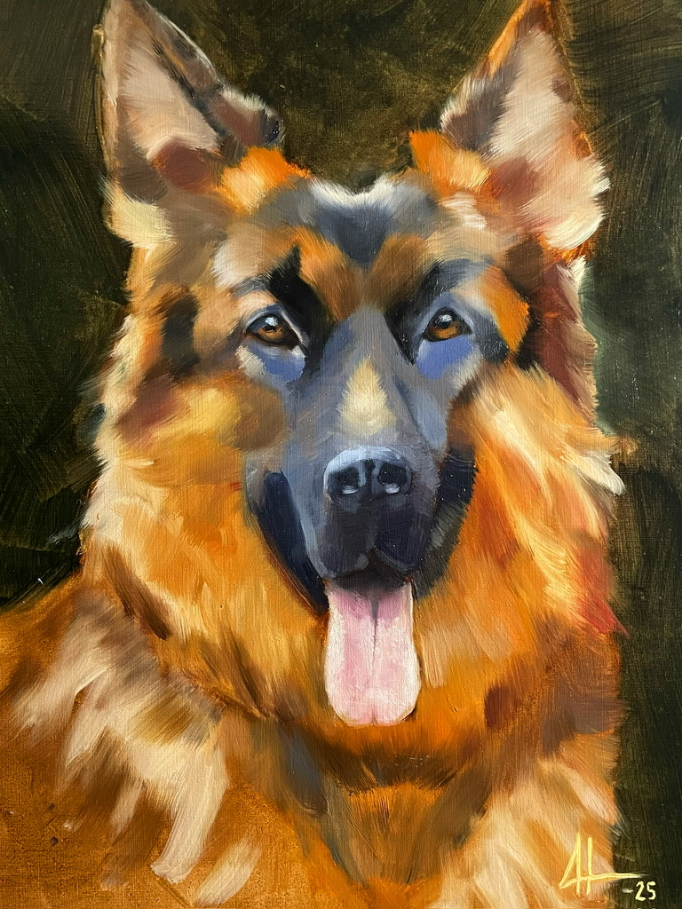 German Shepherd